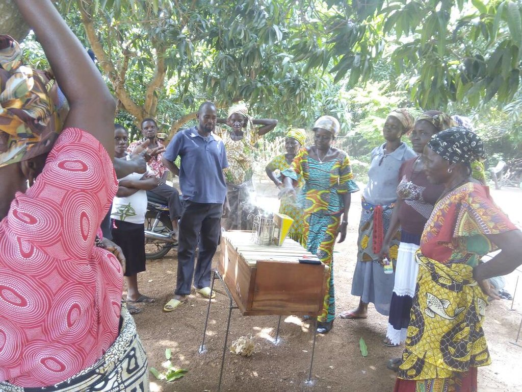 Beekeeping Project Training 2017 Setting Up Beehives 02 1024 768