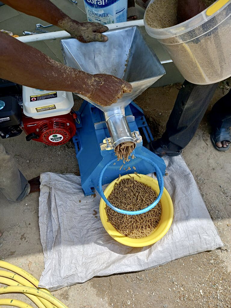 FisheryAndAquaponics 172 768 1024